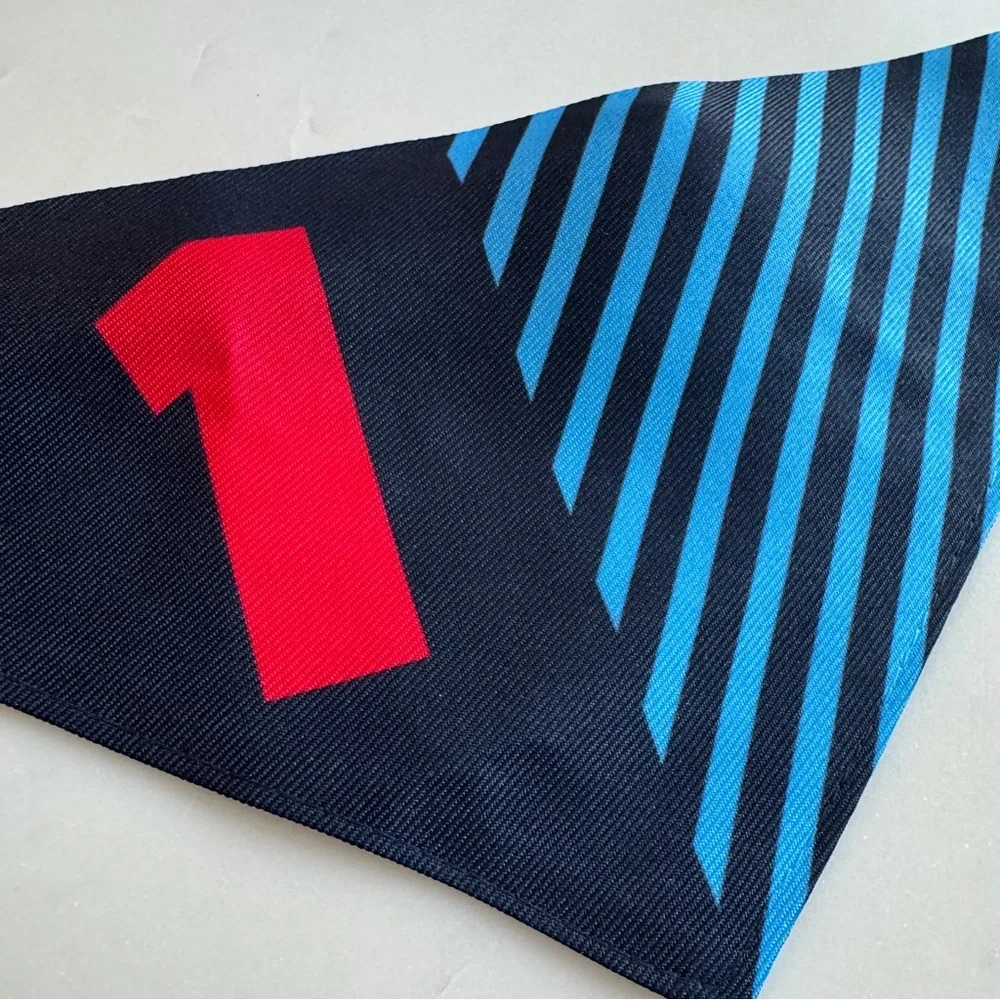 Max Verstappen Dog Bandana - F1 Dog Collar